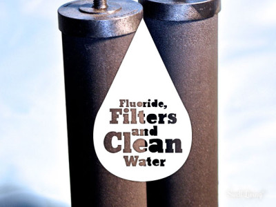 Fluoride Filters and Clean Water Fluoride Filters and Clean Water